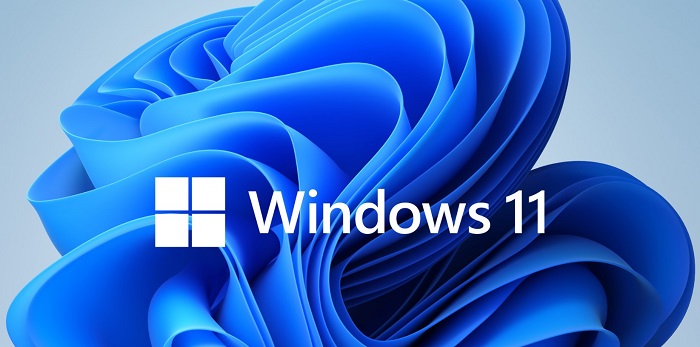 Windows 11